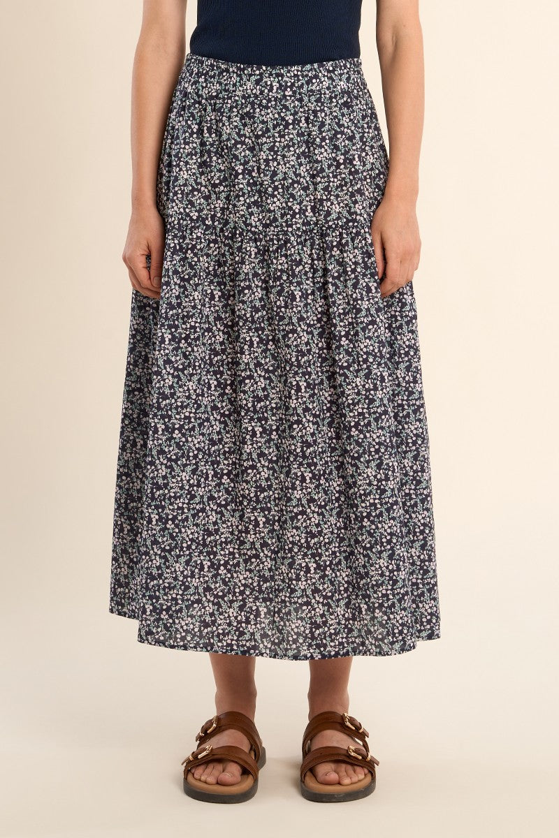 NAVY DAISY