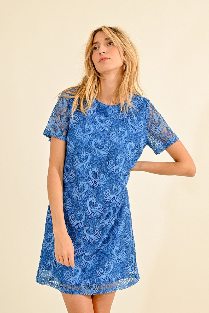 BLUE LACE MINI DRESS BLUE LACE MINI DRESS