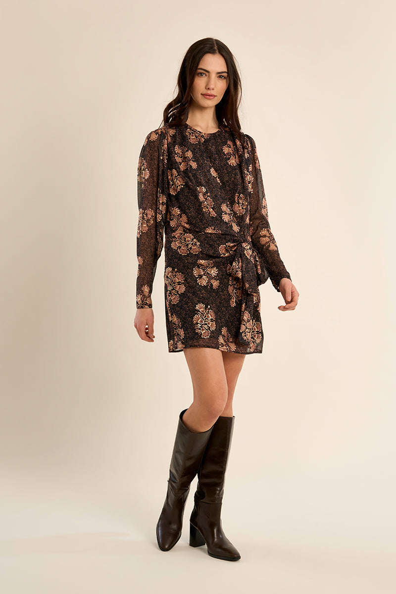 CHOCOLATE APOLLINE