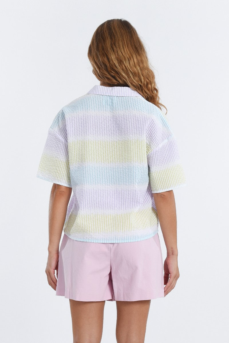 MULTICOLOUR