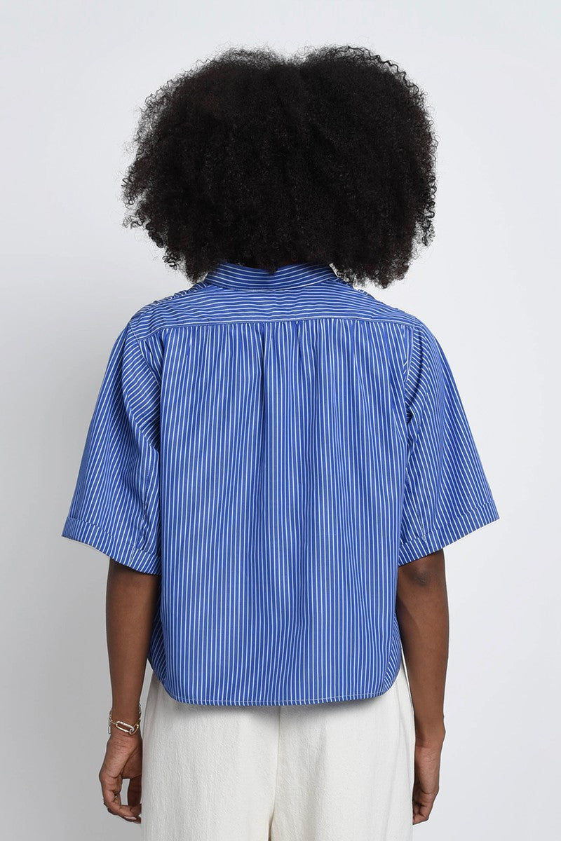 BLUE LILIA