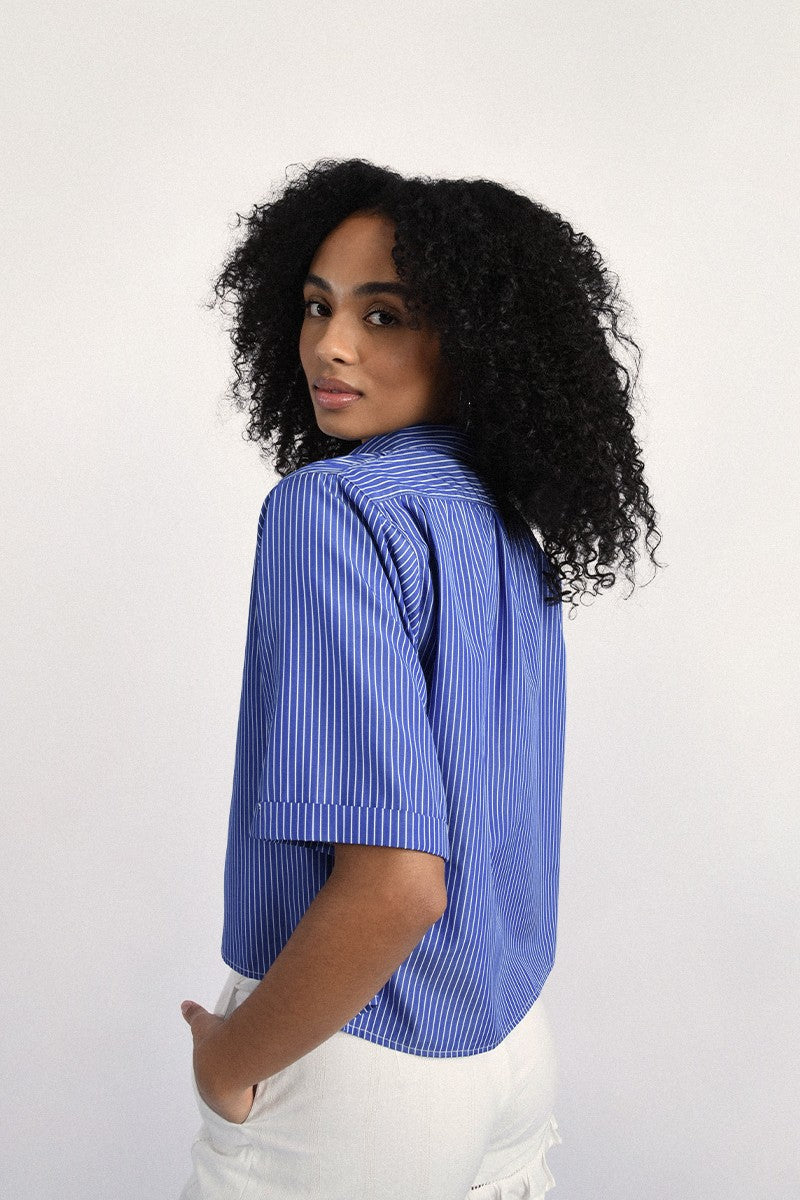 BLUE LILIA