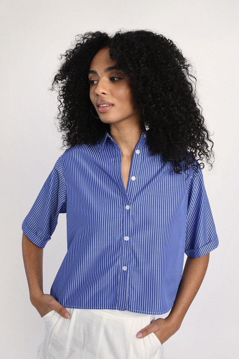 BLUE LILIA