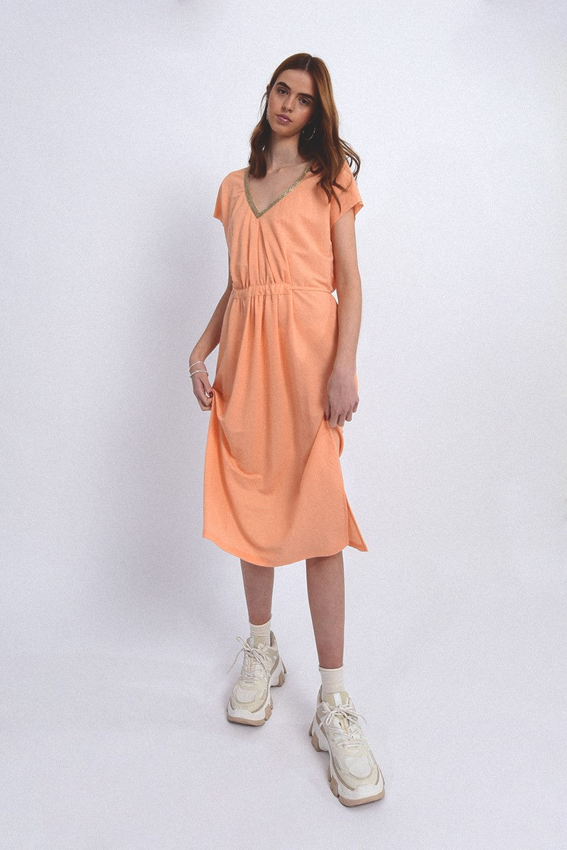 APRICOT
