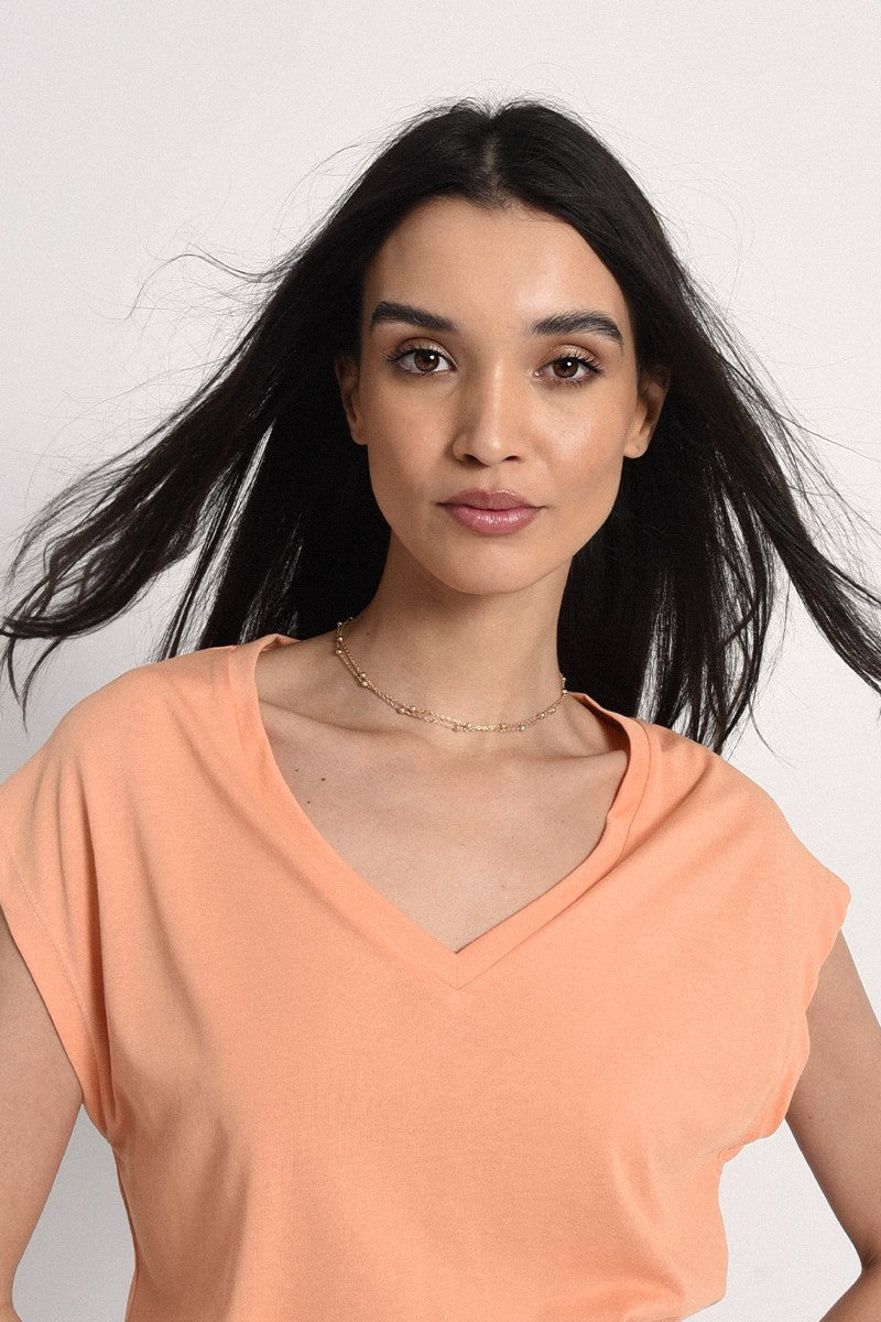 APRICOT